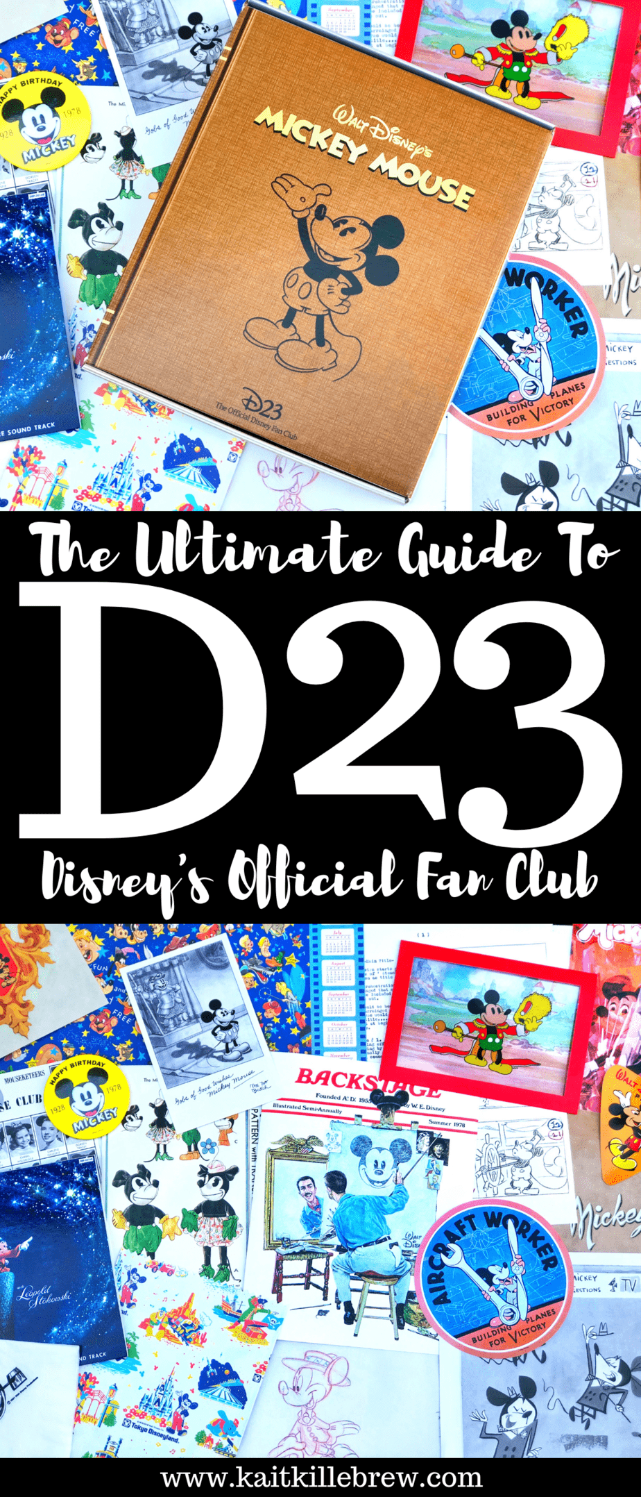 The Ultimate Guide On How To Join D23: The Official Disney Fan Club